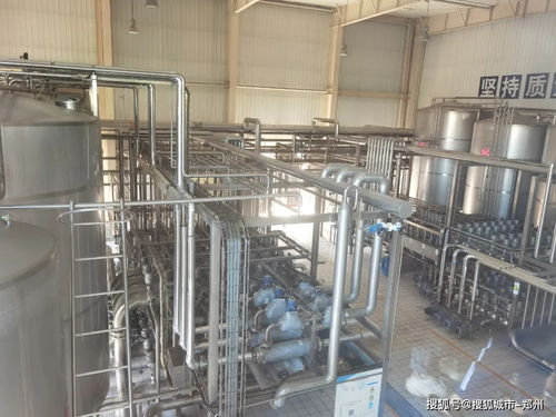 楓葉寶貝探秘花花牛工廠，行走課堂解鎖童年新體驗
